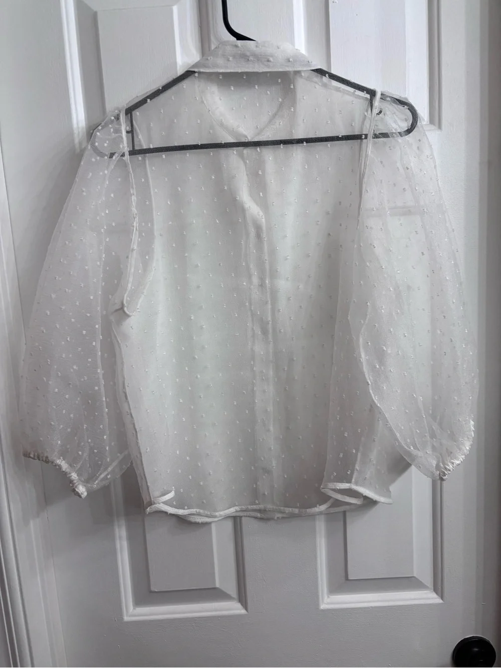 Zara White Sheer Swiss Dot Blouse with Puff Sleeves